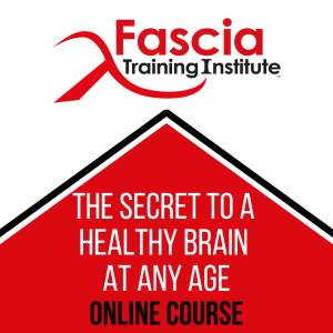 Magnify Your Brainpower: Discover How Mind Messengers can Defy Aging