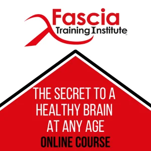 Magnify Your Brainpower: Discover How Mind Messengers can Defy Aging