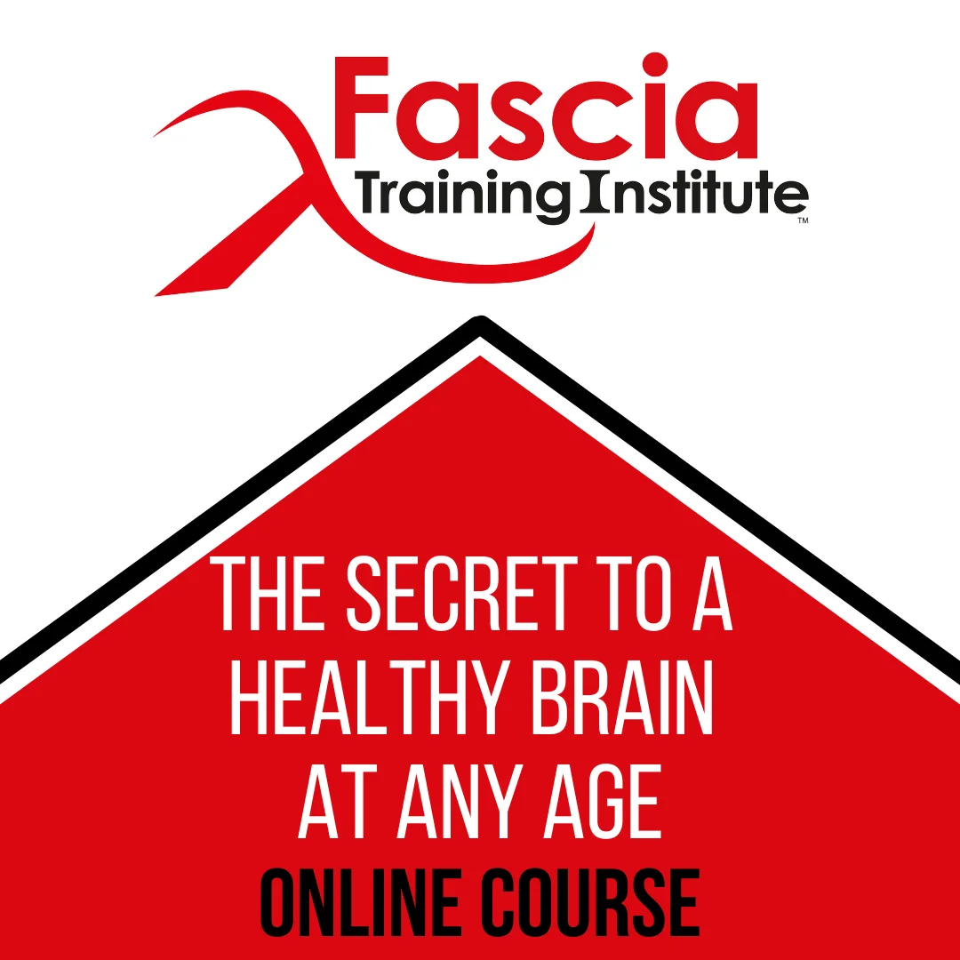 Magnify Your Brainpower: Discover How Mind Messengers can Defy Aging