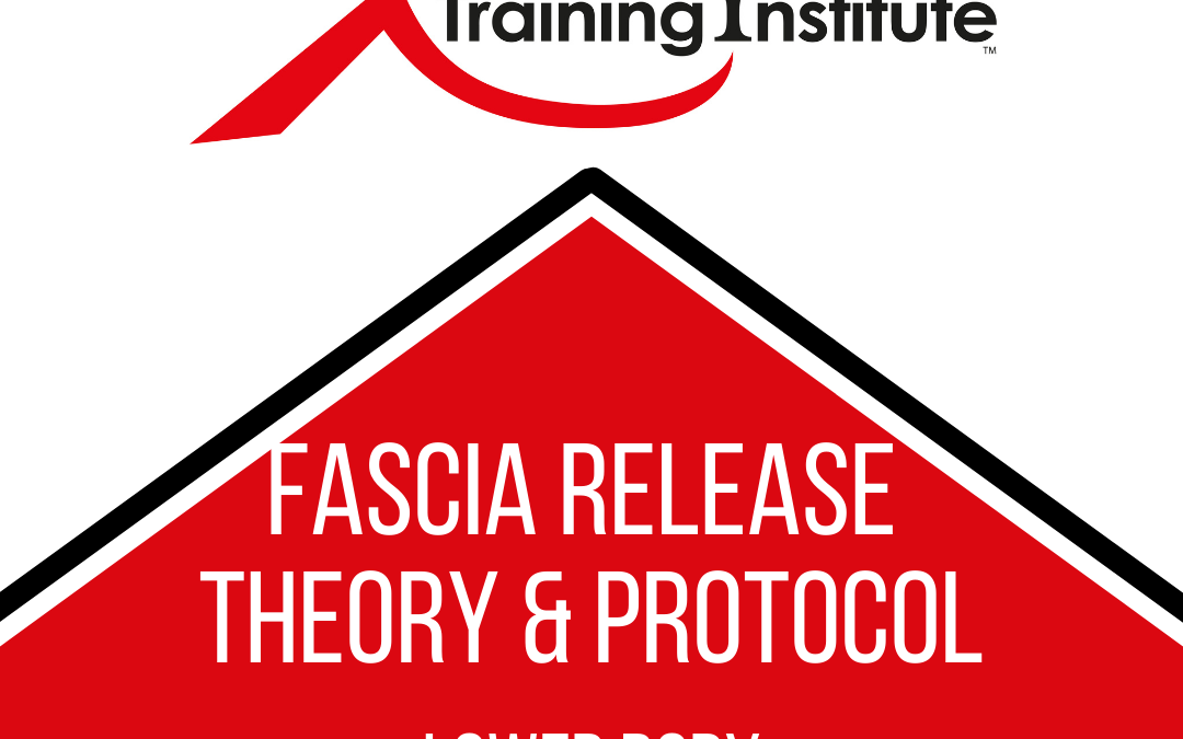 Lower Body Fascia Theory – Module 1