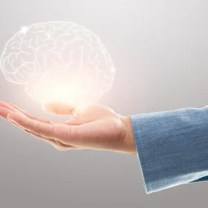 The 3-Month Brain Health Program