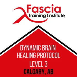 Dynamic Brain Healing Level 3 - August 15-17th, 2025