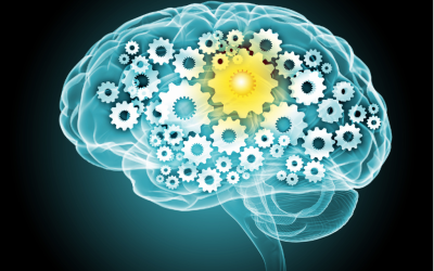 Unveiling the Role of Fascia in Concussion Recovery for Athletes