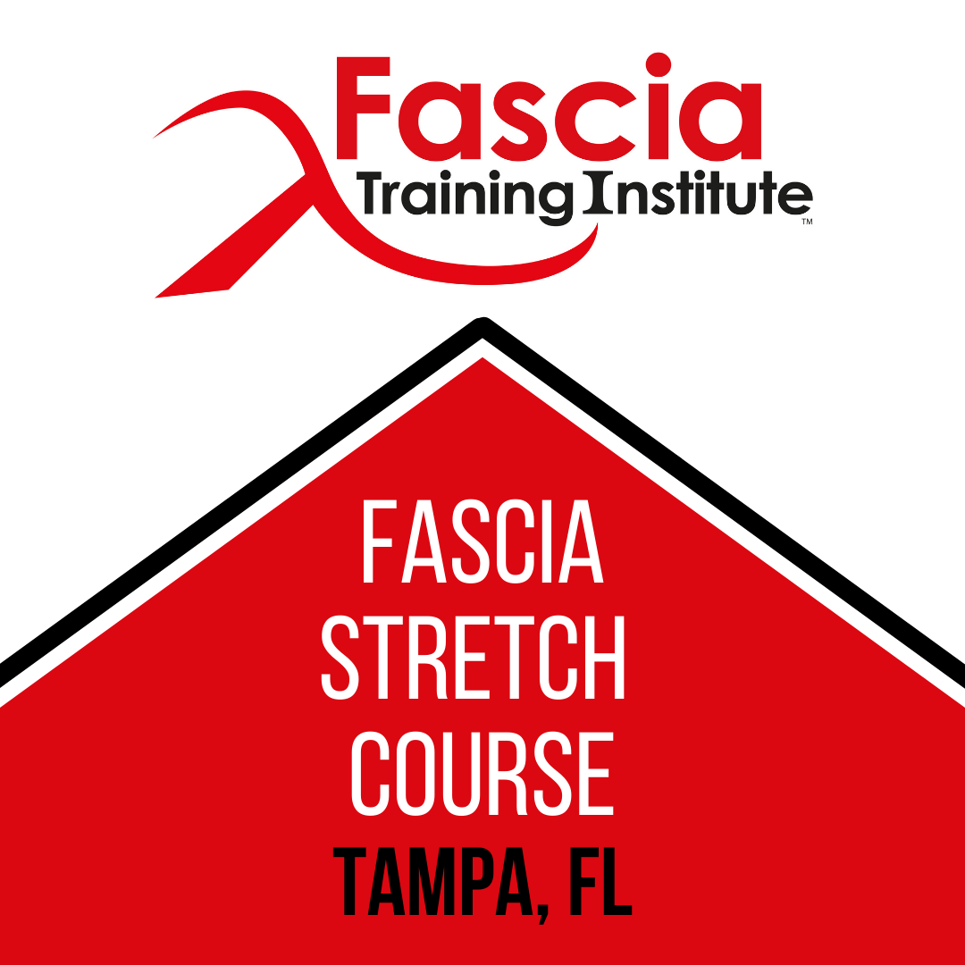 fascia stretch tampa Fascia Release and Dynamic Stretch