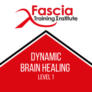 Dynamic Brain Healing Course