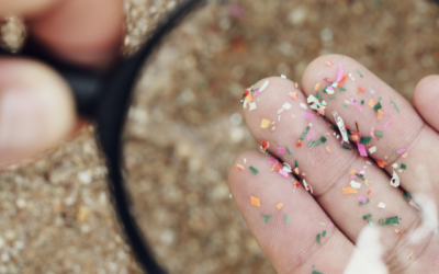 The Hidden Threat in Your Brain: How to Detox Microplastics and Boost Mental Clarity