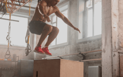 Fascia: The Conscious Connective Tissue