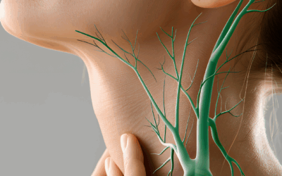 Fascia, Fluid, and Brain Health — The Hidden Pathways That Shape Healing