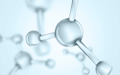 Gelatin & Collagen: The Overlooked Superfoods That Fuel Brain Health and Lasting Weight Loss