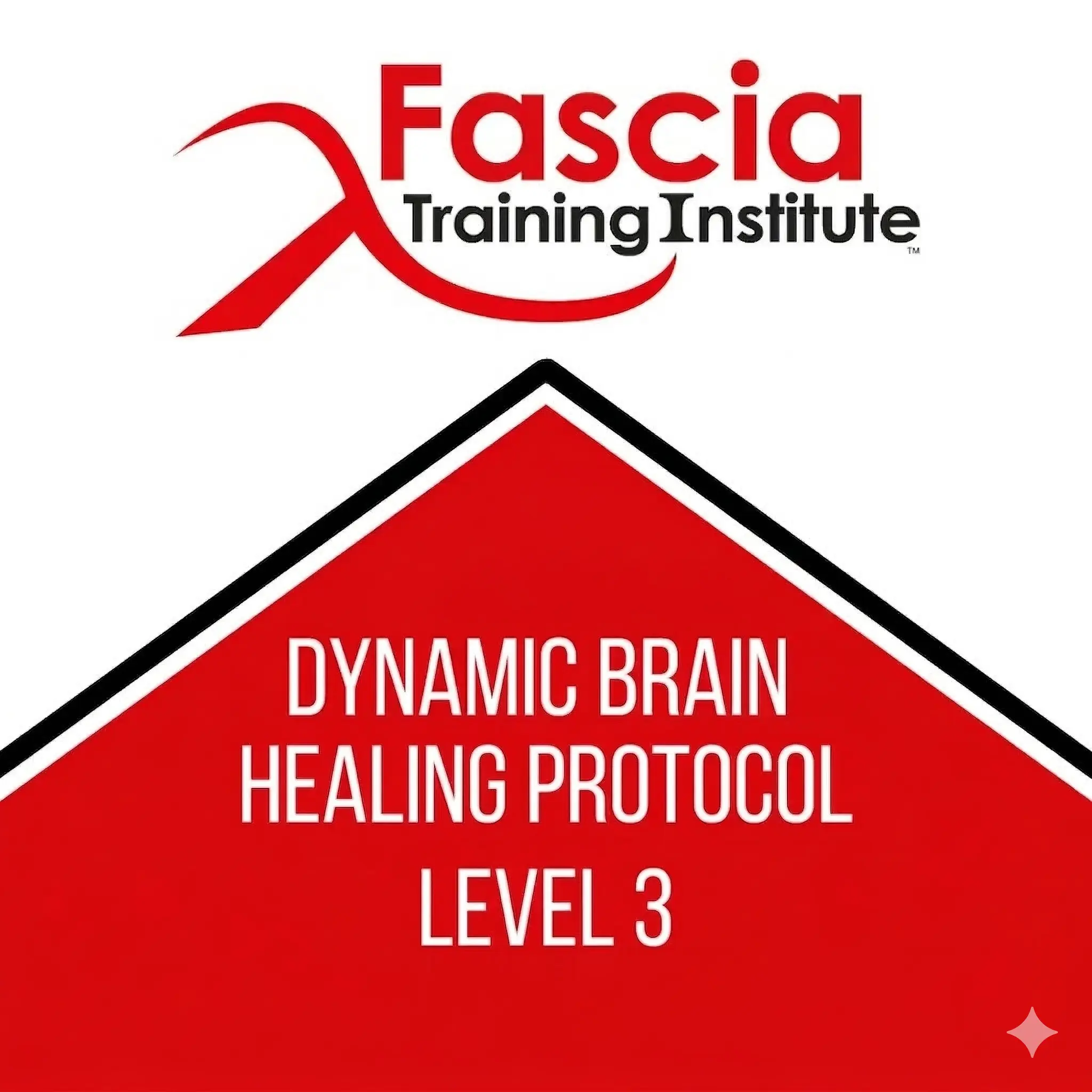 Dynamic Brain Healing Course
