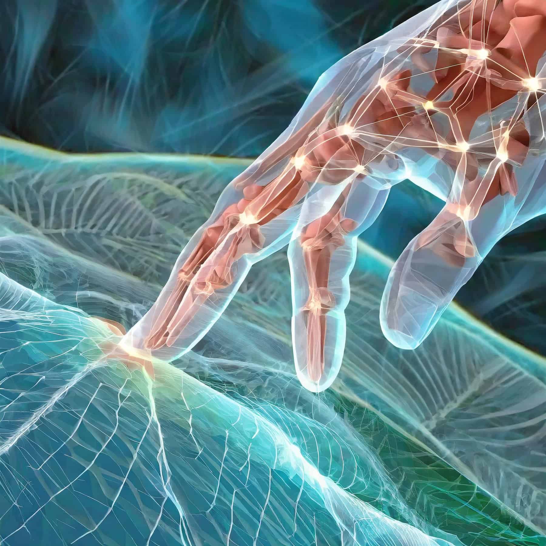 Challenge the brain fascia dynamic stretch movement freedom