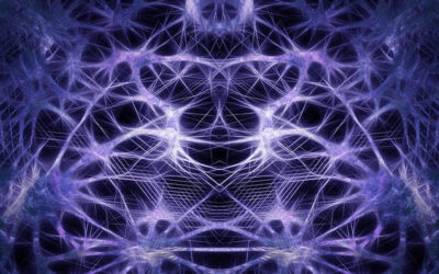 Stretch or Train Fascia: Fact or Fiction