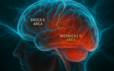 The Hidden Force Behind Brain Fog, Speech Issues, and Slow Recovery: How Fascial Compression on the Cranium Creates Tensional Drag on the Brain