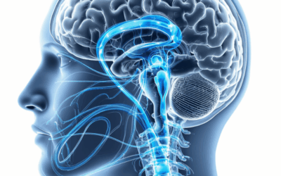 Fascia, Fluid, and Brain Health — The Hidden Pathways That Shape Healing